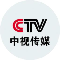 中视传媒股份有限公司_企业Logo