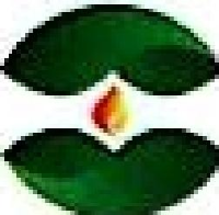 上海大众燃气有限公司_企业Logo