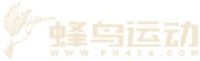 昆明蜂鸟运动有限公司_企业Logo