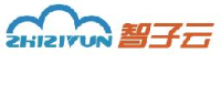 上海智子信息科技股份有限公司_企业Logo