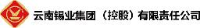 云南锡业集团（控股）有限责任公司大屯选矿厂_企业Logo