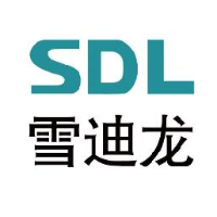 北京雪迪龙科技股份有限公司_企业Logo