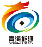 青海省能源发展(集团)有限责任公司_企业Logo