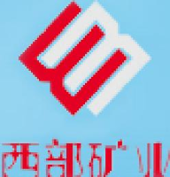 青海西部镁业有限公司_企业Logo