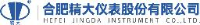 合肥精大仪表股份有限公司_企业Logo