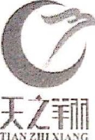 江西天之翔航空数控技术有限责任公司_企业Logo