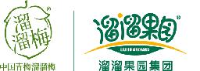 溜溜梅股份有限公司_企业Logo