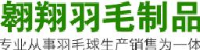 无为县翱翔羽毛制品有限责任公司_企业Logo