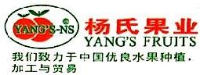 湖南杨氏鲜果有限公司_企业Logo
