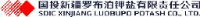 国投新疆罗布泊钾盐有限责任公司_企业Logo