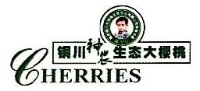 铜川市神农生态农业有限公司_企业Logo