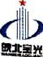 安徽宝光特钢集团万里电力铁塔有限公司_企业Logo