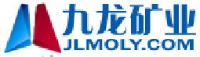洛南县九龙矿业有限公司_企业Logo