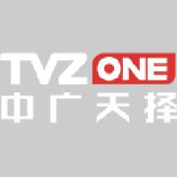 中广天择传媒股份有限公司_企业Logo