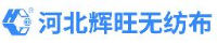 河北辉旺无纺布有限公司_企业Logo