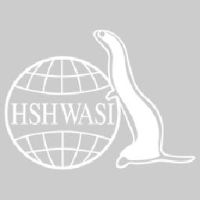 华斯控股股份有限公司_企业Logo