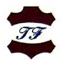 孟州市泰丰皮业有限公司_企业Logo