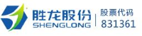 郑州胜龙信息技术股份有限公司_企业Logo