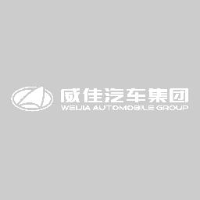 河南威佳汽车贸易集团有限公司_企业Logo