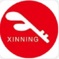 河南新宁现代物流股份有限公司_企业Logo