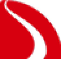 广东顺大食品调料有限公司_企业Logo