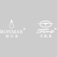 深圳市展辉表业有限公司_企业Logo