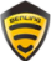 东莞市本铃车业科技有限公司_企业Logo