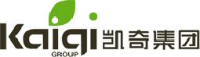 凯奇集团有限公司_企业Logo