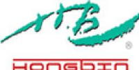 马鞍山洪滨丝画手工艺术有限公司_企业Logo