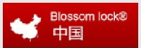 浙江浦江梅花锁业集团有限公司_企业Logo
