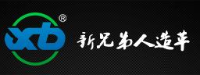 温州市新兄弟人造革有限公司_企业Logo