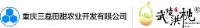重庆三磊田甜农业开发有限公司_企业Logo