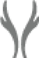 江苏丹毛纺织股份有限公司_企业Logo