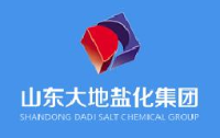 山东大地盐化集团有限公司_企业Logo