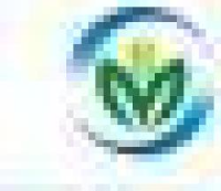 山东明瑞化工集团有限公司_企业Logo