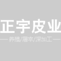 费县正宇皮业有限公司_企业Logo