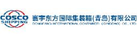 寰宇东方国际集装箱（青岛）有限公司_企业Logo