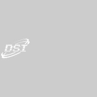 青岛鼎世国际货运代理有限公司_企业Logo