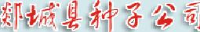 山东新阳光种业科技有限公司_企业Logo