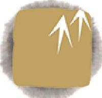 深圳市四季青园林股份有限公司_企业Logo