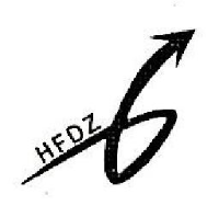南皮县华丰电子有限公司_企业Logo