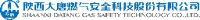 陕西大唐燃气安全科技股份有限公司_企业Logo