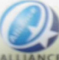 福建大联新型材料发展有限公司_企业Logo