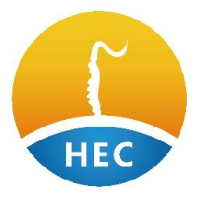广东东阳光科技控股股份有限公司_企业Logo