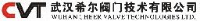 武汉希尔阀门技术有限公司_企业Logo