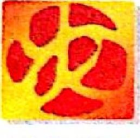福建省亿嵘铜业有限公司_企业Logo