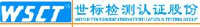深圳世标检测认证股份有限公司_企业Logo