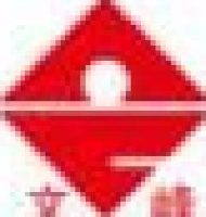 山东文峰集团有限公司_企业Logo