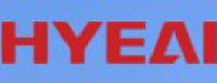 浙江华仪电子股份有限公司_企业Logo