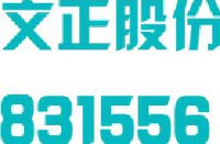 山东文正科技股份有限公司_企业Logo